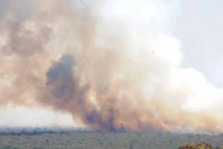 Fumaça no Parque Nacional de Brasília: incêndio destrói toda a vegetação (.)