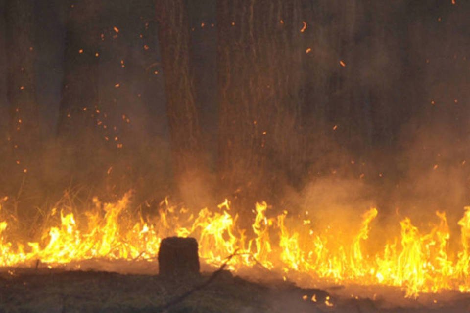 Setembro quente e seco produz 62% mais queimadas