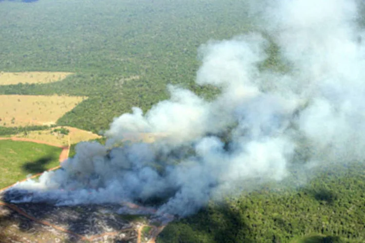 Queimada no Mato Grosso em 2005: entre segunda-feira (16/8) e terça-feira (17/8), foram 1.928 focos de incêndio registrados no estado (Paulo Vitale/Veja)