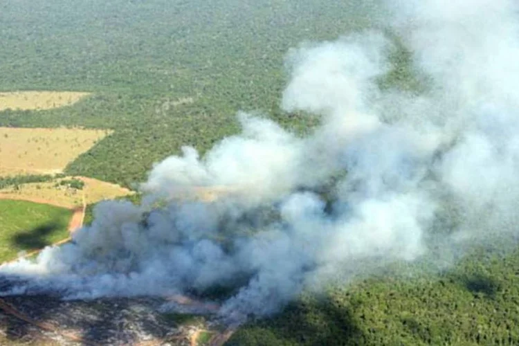 
	Queimada: pa&iacute;s ainda convive com pr&aacute;tica primitiva de agricultura para limpeza do terreno e cultivo 
 (Paulo Vitale)