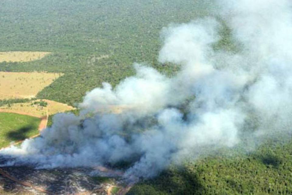 Desmatamento deixa de ser aos poucos o vilão das emissões