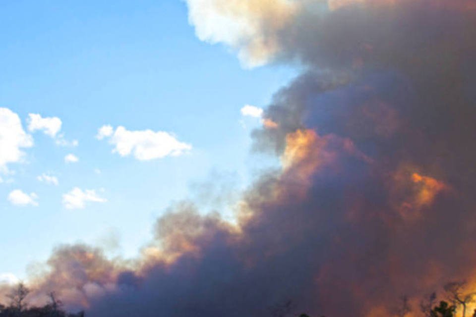 Floresta Amazônica perde 54 mi toneladas de carbono por ano