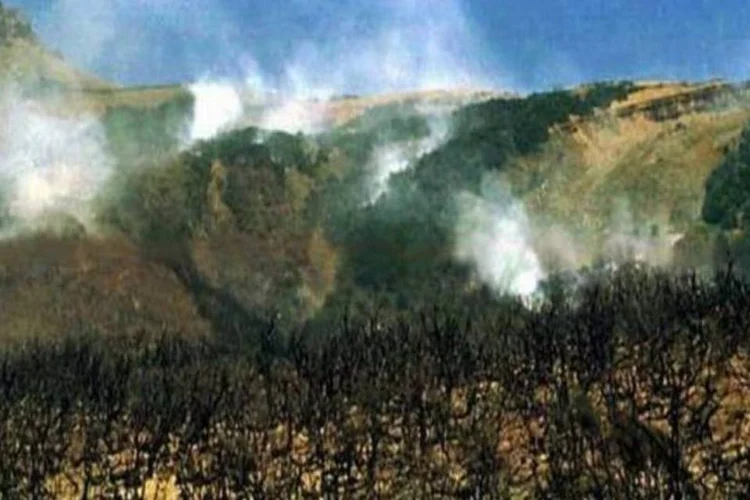  Segundo funcionário da Direção de Florestas, local do fogo é um terreno de difícil acesso  (AFP)