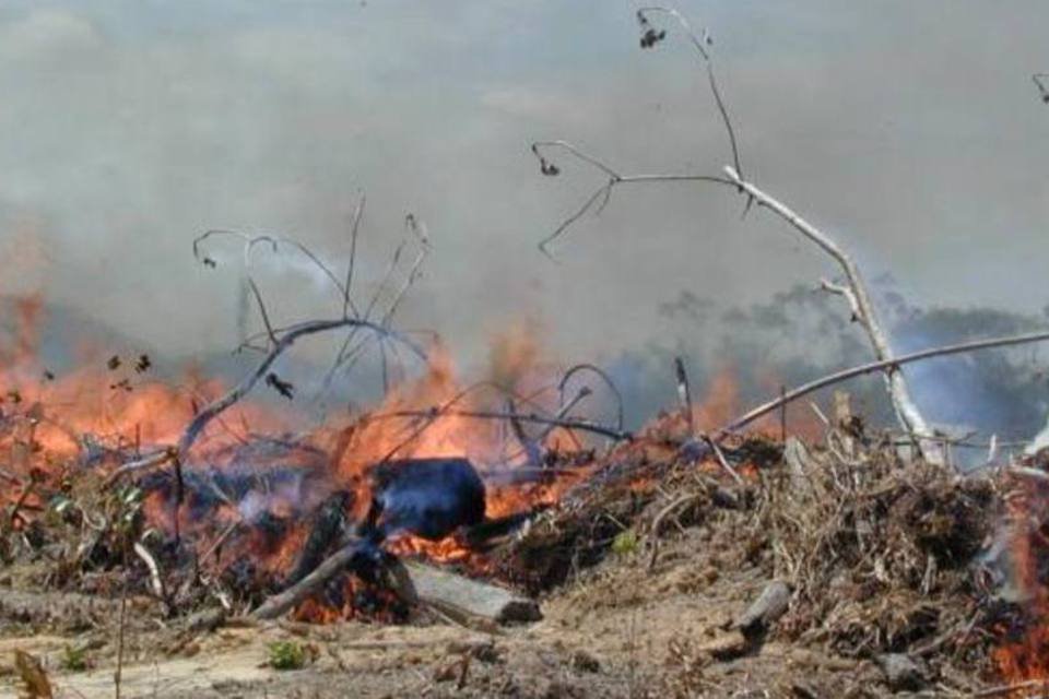 Seca na Amazônia pode bater recorde histórico, diz Nasa