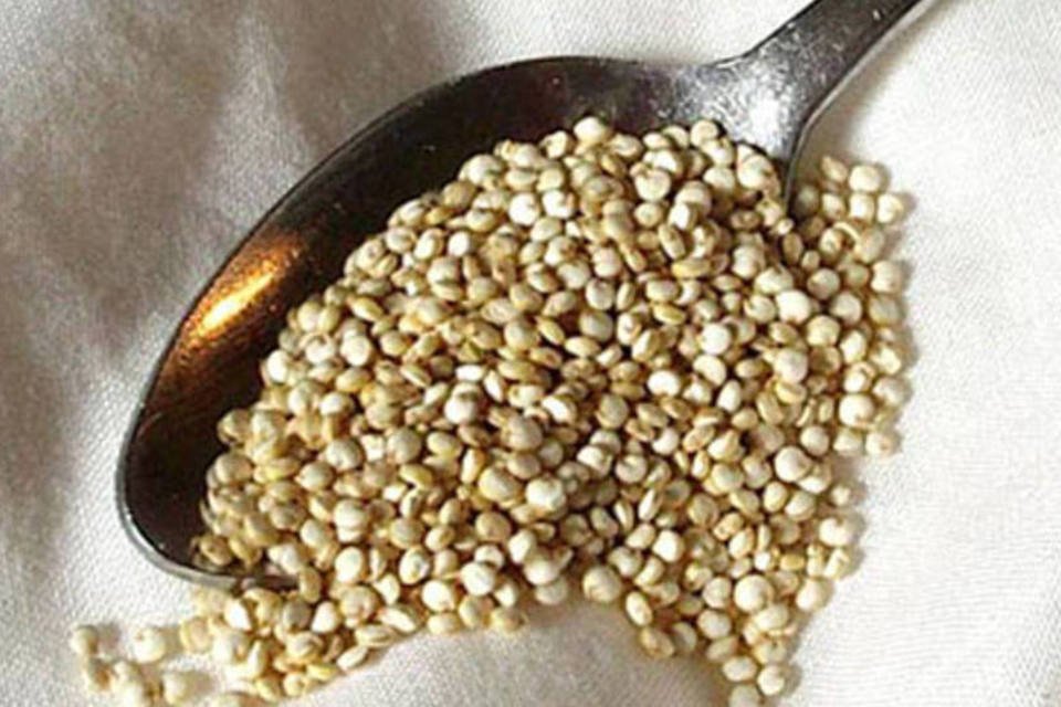 Superalimento andino foi preterido na loucura pela quinoa