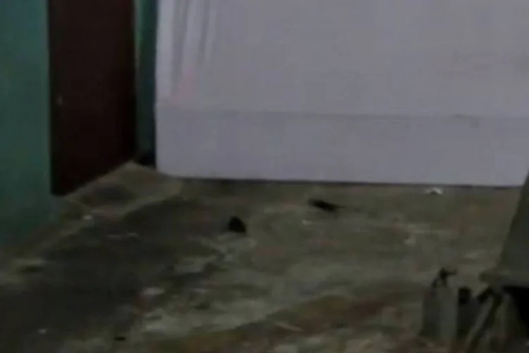 
	Ratos na Campus Party Brasil, no Anhembi: v&iacute;deo postado no YouTube mostra ratos ao lado de uma das lanchonetes do evento
 (Reprodução)