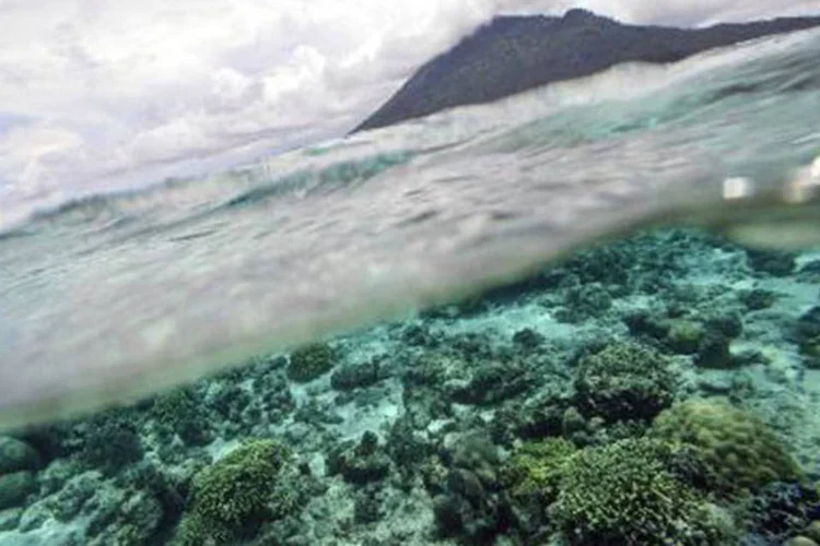 Recife de corais no Parque Nacional marítimo protegido, da ilha de Bunaken, em 13 de maio de 2009 (©afp.com / Romeo Gacad)