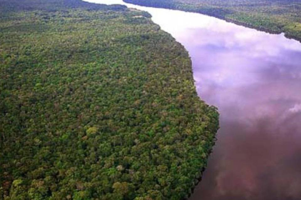 Amazônia supera SP em emissão de CO2