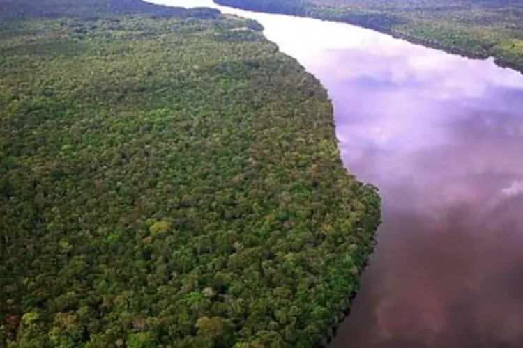 Com fotos aéreas, o desmatamento moderno ajudou a revelar cerca de 450 desses desenhos no estado do Acre, oeste da Amazônia brasileira (.)