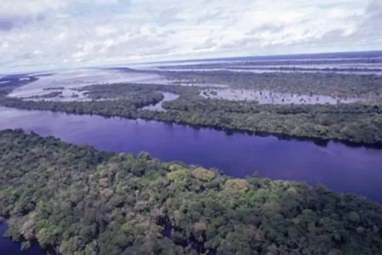 Arquipélago de Anavilhanas, região Amazônia (.)