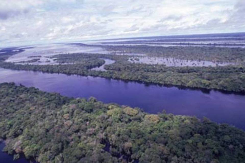BNDES negocia com 12 países doações para Amazônia