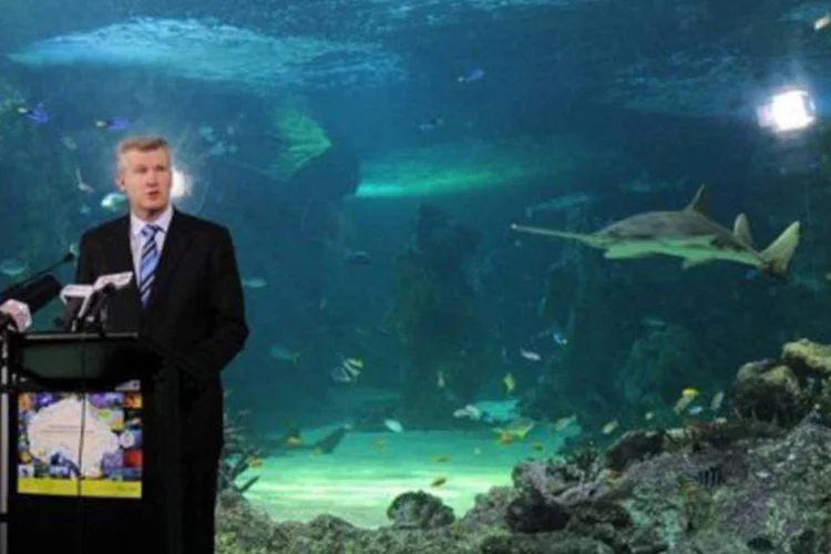 O ministro australiano do Meio Ambiente, Tony Burke, durante o anúncio da área de reserva: a rede permitirá proteger espécies em extinção, como a baleia azul
 (Roslan Rahman/AFP)
