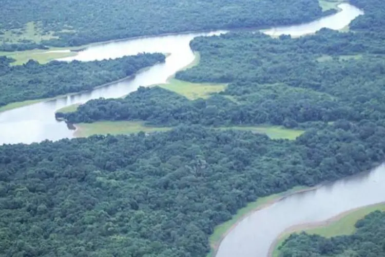 Rio Aquidauana, no Mato Grosso do Sul: rio transbordou e atingiu cidades (Selmy Yassuda/Veja)