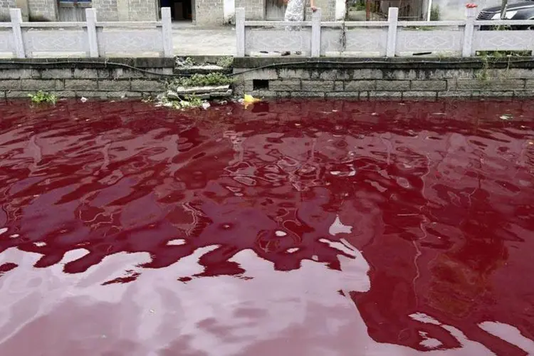 Susto: homem olha para o rio avermelhado em Cangnan, província na China (REUTERS)