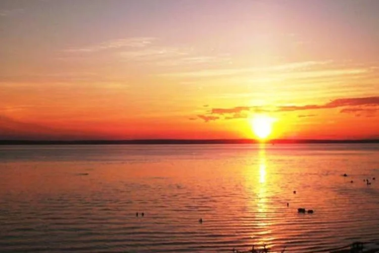 Rio Negro: ninguém ficou ferido e a empresa deve ser multada (Wikimedia Commons)