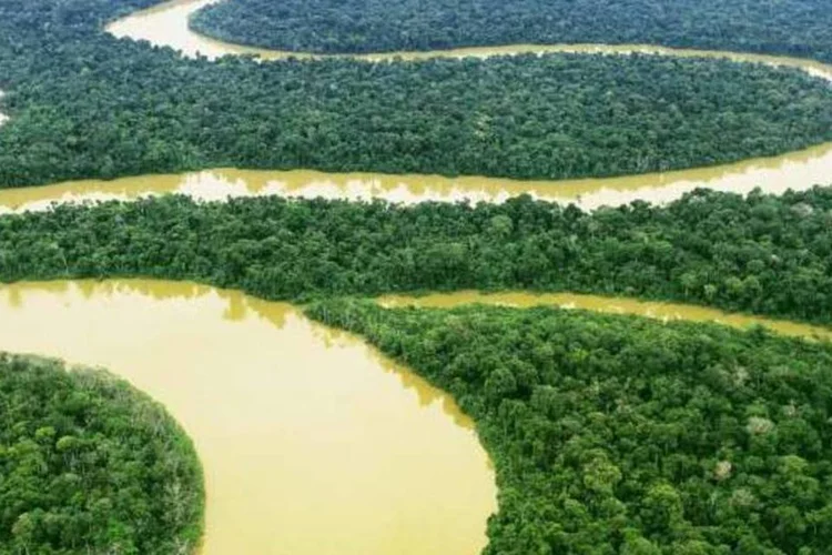 A Bacia do Solimões é uma das regiões onde a HRT tem blocos de exploração (Antonio Milena/Veja)