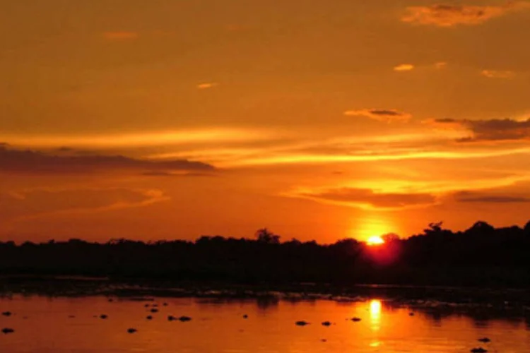 O rio Solimões é um dos que foram afetados pela seca na Amazônia (Divulgação)