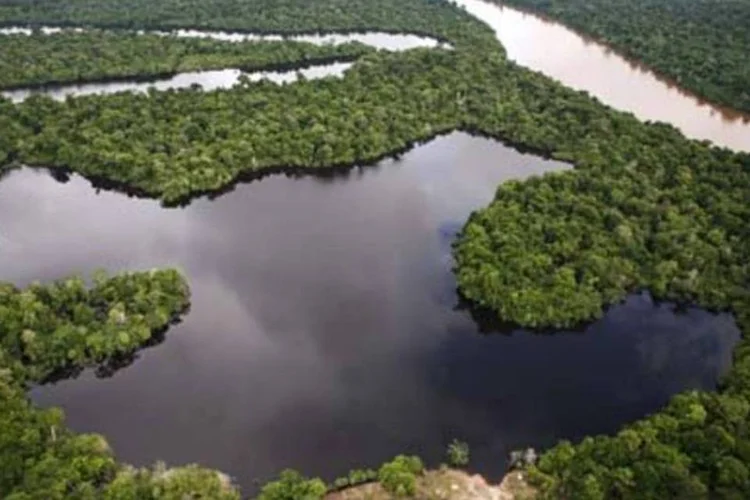 Se a Amazônia queimar, diz The Economist, ela poderá cuspir o equivalente a mais de uma década de emissões de combustíveis fósseis. (.)