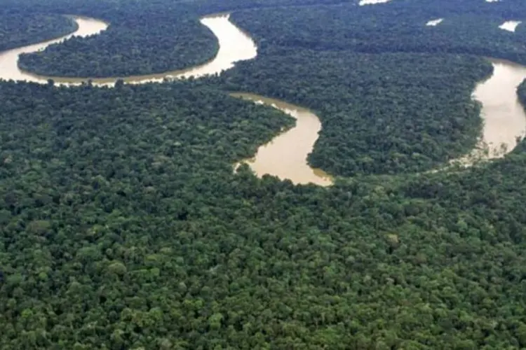 
	Rio Solim&otilde;es, na Amaz&ocirc;nia: taxa de degrada&ccedil;&atilde;o florestal est&aacute; diminuindo
 (Antonio Milena/Veja)