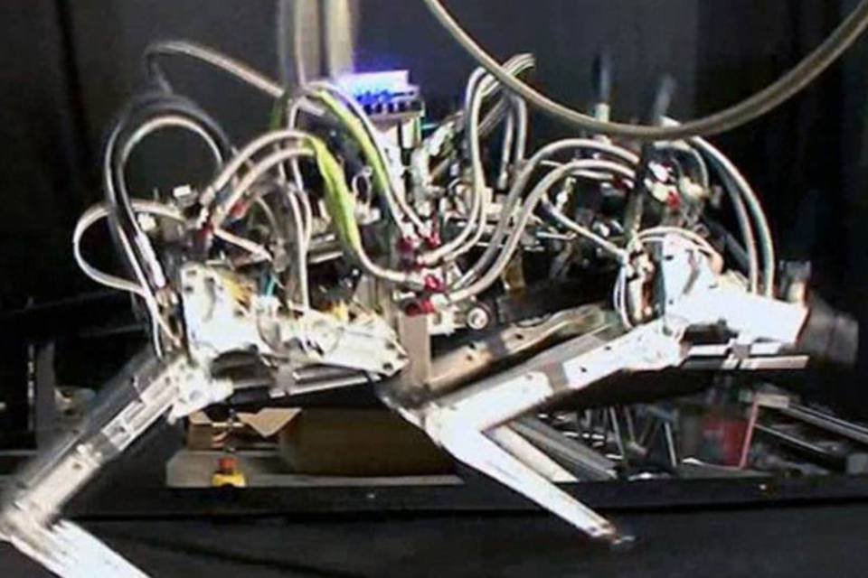 Pentágono desenvolve robô felino capaz de correr a 29 km/h