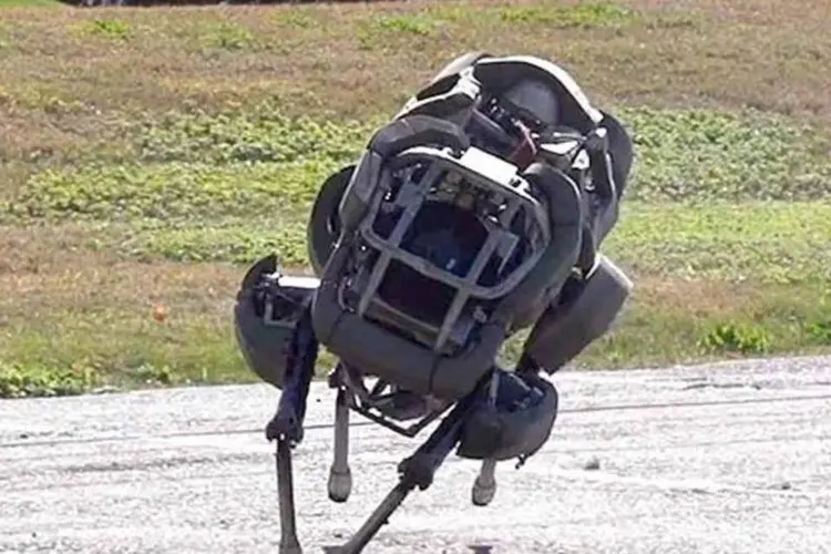 
	Rob&ocirc; Wildcat, da Boston Dynamics: rob&ocirc; &eacute; capaz de trotar e galopar a mais de 25 km/h
 (Reprodução)