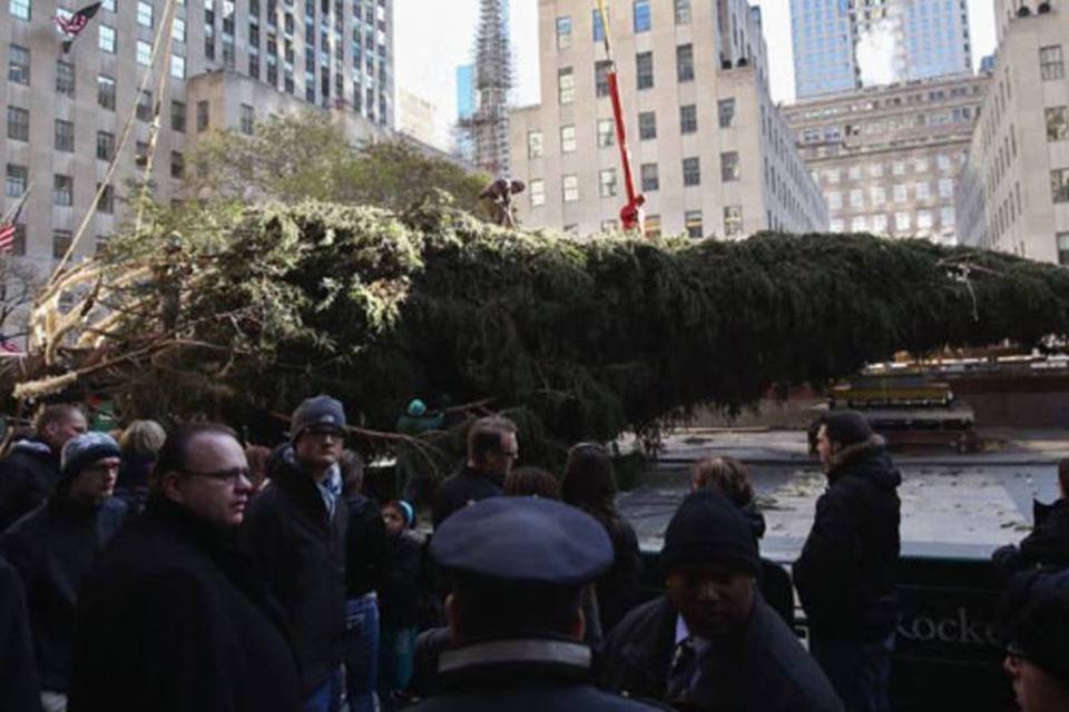 Árvore de Natal do Rockefeller Center sobrevive a Sandy