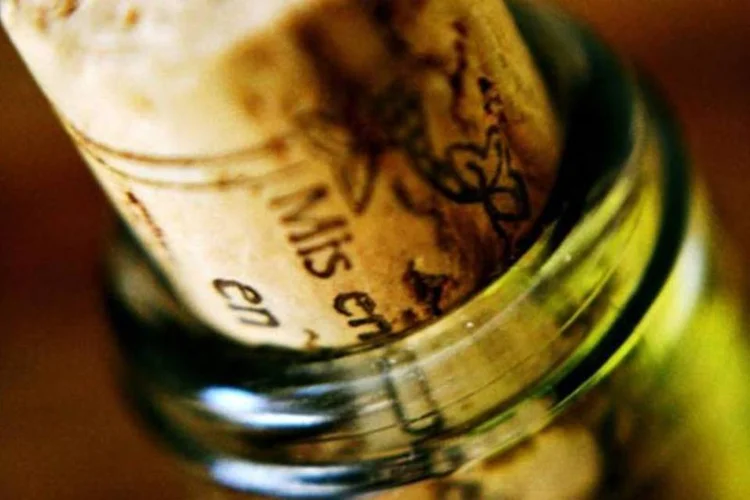 Vinho (Alexandre Jaeger Vendruscolo/Stock.Xchng)