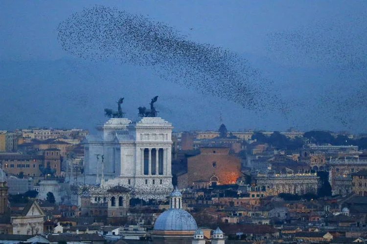 
	Roma: em troca ser&aacute; poss&iacute;vel usar o transporte p&uacute;blico por um dia com um boleto especial de 1,5 euros
 (Tony Gentile / Reuters)