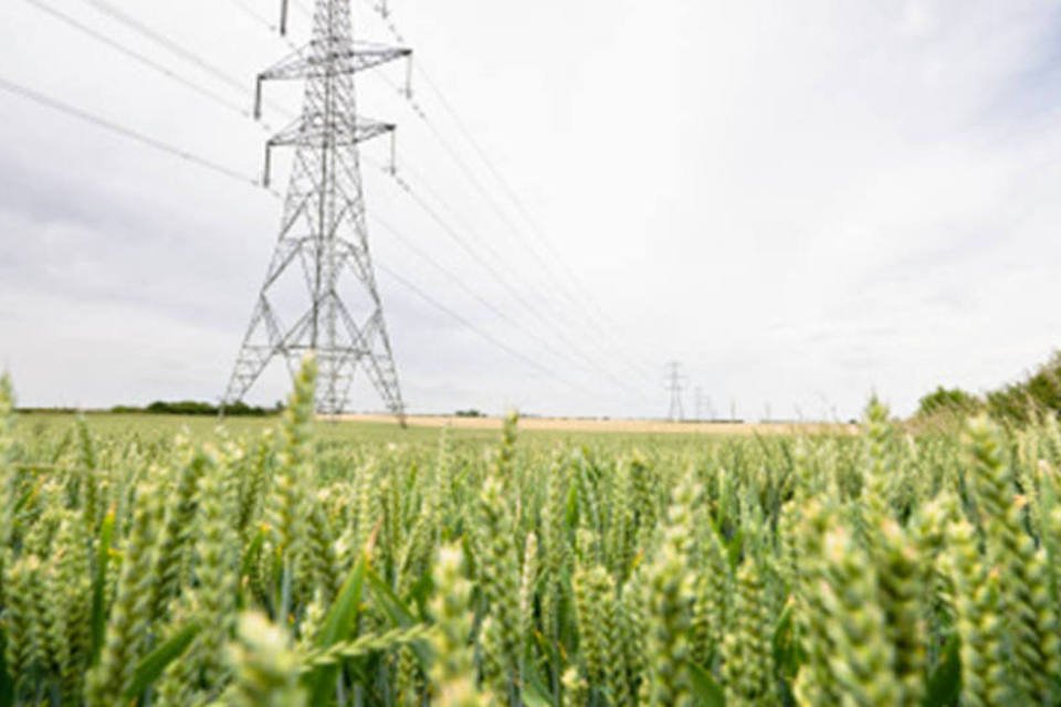 Consumidor avalia bem distribuidoras de serviço elétrico