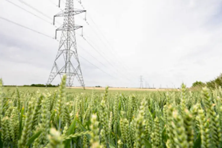 
	Energia el&eacute;trica no campo:&nbsp;atualmente h&aacute; 101 empresas prestando servi&ccedil;os ligados ao fornecimento de energia el&eacute;trica para consumidores no pa&iacute;s.
 (Reprodução/Getty Images)