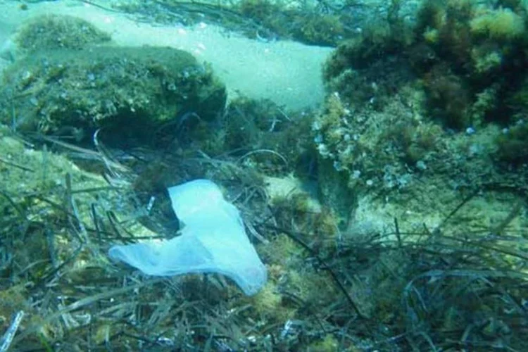 
	Sacola pl&aacute;stica polui o mar: h&aacute; 5,25 trilh&otilde;es de part&iacute;culas de lixo pl&aacute;stico, segundo estudo
 (Creative Commons/Flickr/kouk)