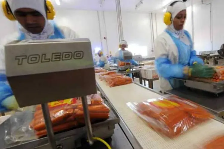 Brasil Foods acredita que a situação de abastecimento de frango em países consumidores é favorável à empresa no momento (Germano Luders/EXAME)