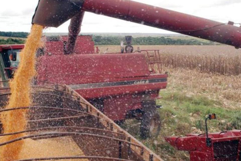Agronegócio perde quase 4 mi de toneladas de grãos