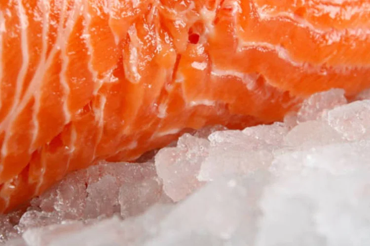 Salmão é um dos alimentos que ajudam a proporcionar uma maior concentração (Hotels in Eastbourne / Stock Xchng)