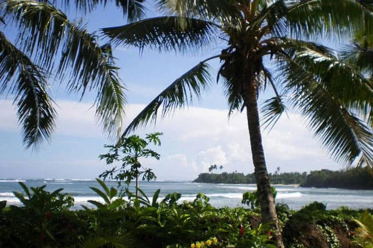 Samoa: principais sócios comerciais de Samoa são Austrália (81,7%) e Nova Zelândia (10,1%) (Teinesavaii/WikimediaCommons)