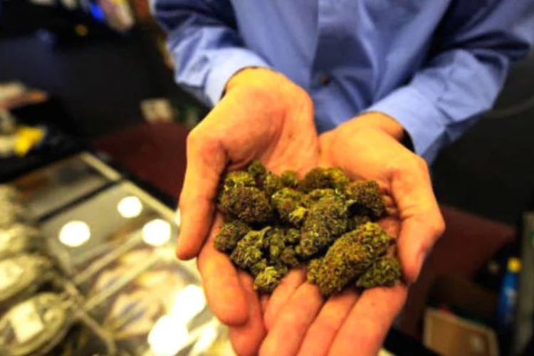 
	Homem mostra por&ccedil;&atilde;o de maconha em loja: pa&iacute;s legalizou o uso da droga para fins medicinais no m&ecirc;s passado
 (Kevork Djansezian/Getty Images)