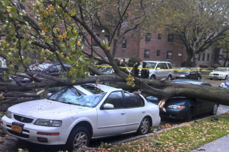 
	&Aacute;rvore cai em cima de carro por conta dos ventos do Furac&atilde;o Sandy
 (REUTERS)