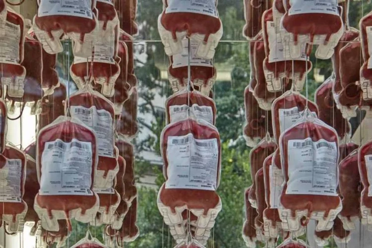 
	Sangue: a taxa m&eacute;dia de doa&ccedil;&atilde;o de sangue &eacute; nove vezes maior em pa&iacute;ses de alta renda do que nos de baixa renda
 (Reprodução)
