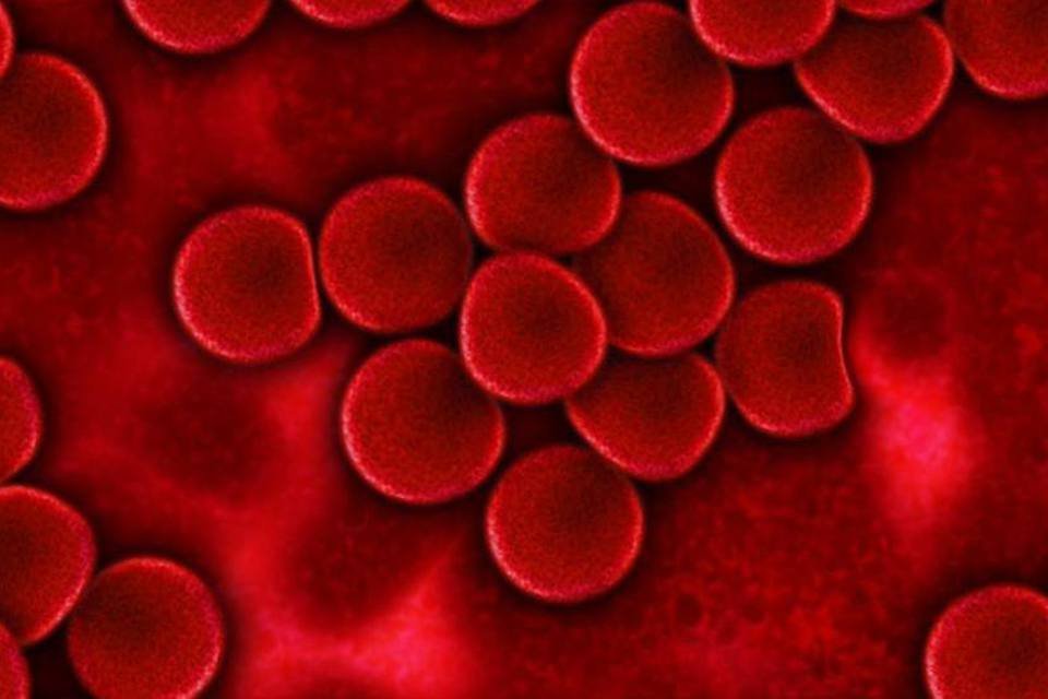 Já é possível detectar Zika em sangue de transfusão