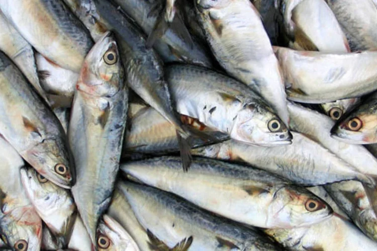 Só a sardinha teve um reajuste de 15,89%  (Stock.Xchng)