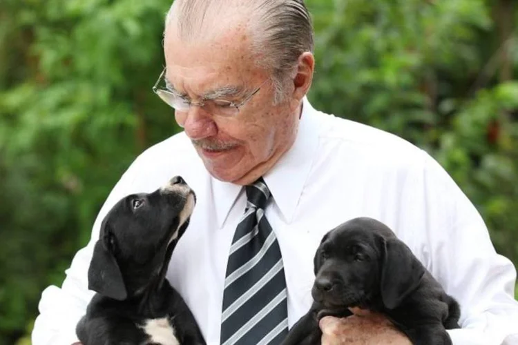 José Sarney com filhotes de labradores em foto oficial (Ricardo Stuckert / Divulgação)