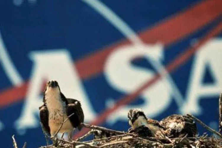 Nasa foi pioneira em um programa que incentiva agências federais nos Estados Unidos a comprar produtos e serviços de micro e pequenas empresas (MPE) (AFP/GETTY IMAGES / roberto gonzalez)