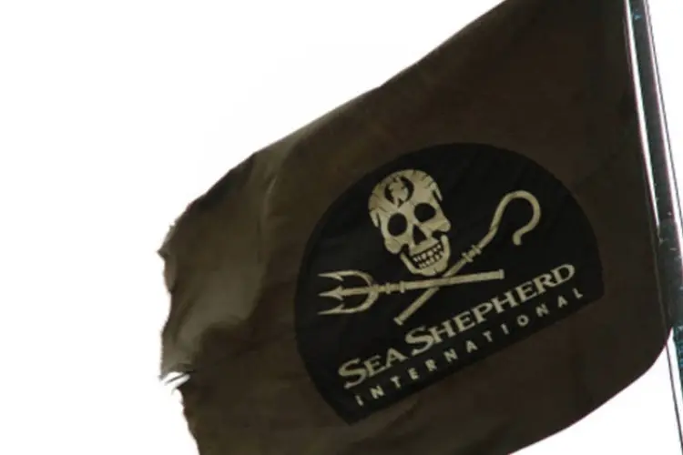 A oitava campanha do Sea Shepherd foi denominada como 'Operação Vento Divino' (Elliot K/Wikimedia Commons)