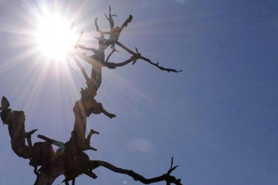 Mesmo com chuva, prognóstico de seca no Ceará é mantido