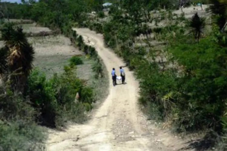 Vista de uma região do noroeste do Haiti afetada pela seca e a fome: em algumas localidades foi detectada uma taxa de 4,9% de desnutrição aguda (Héctor Retamal/AFP)