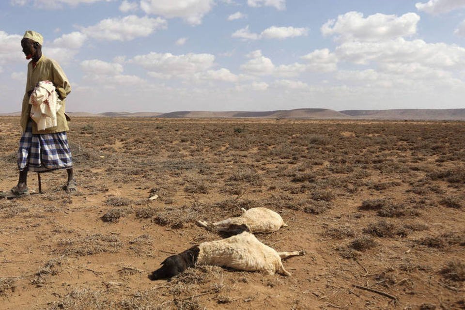 ONU se diz preocupada com 5 milhões de famintos da Somália