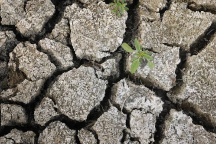 
	Seca: a &aacute;gua &eacute; um elemento-chave na quest&atilde;o dos impactos das mudan&ccedil;as clim&aacute;ticas
 (Photo by Scott Olson/Getty Images)
