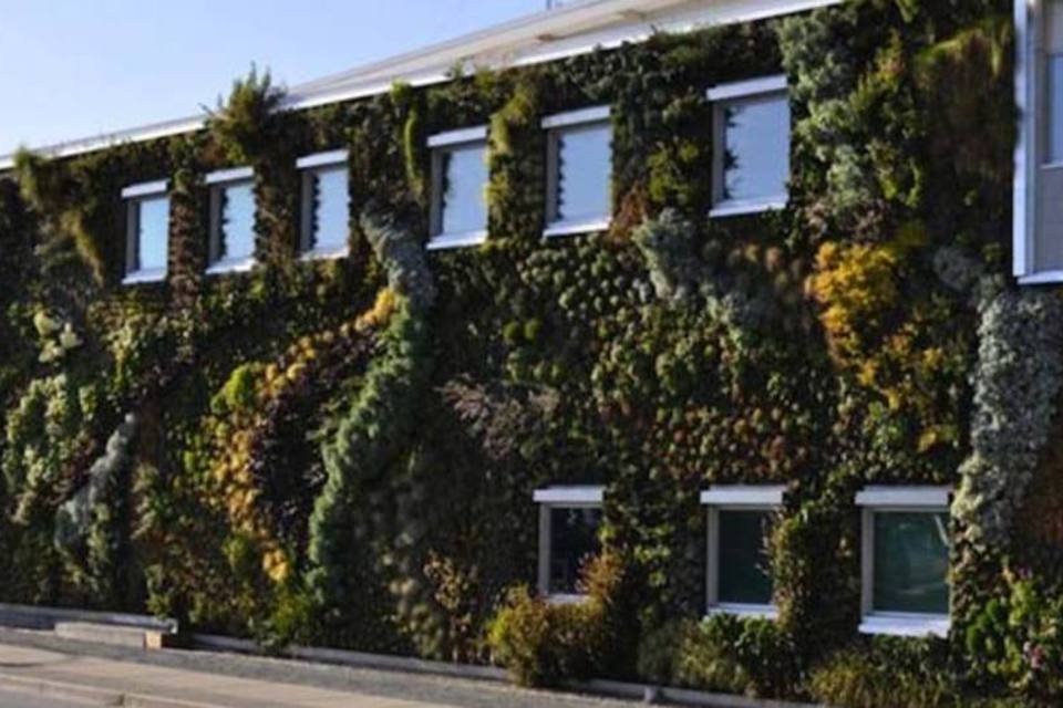 Subúrbio de Vancouver tem a maior parede verde da América do Norte
