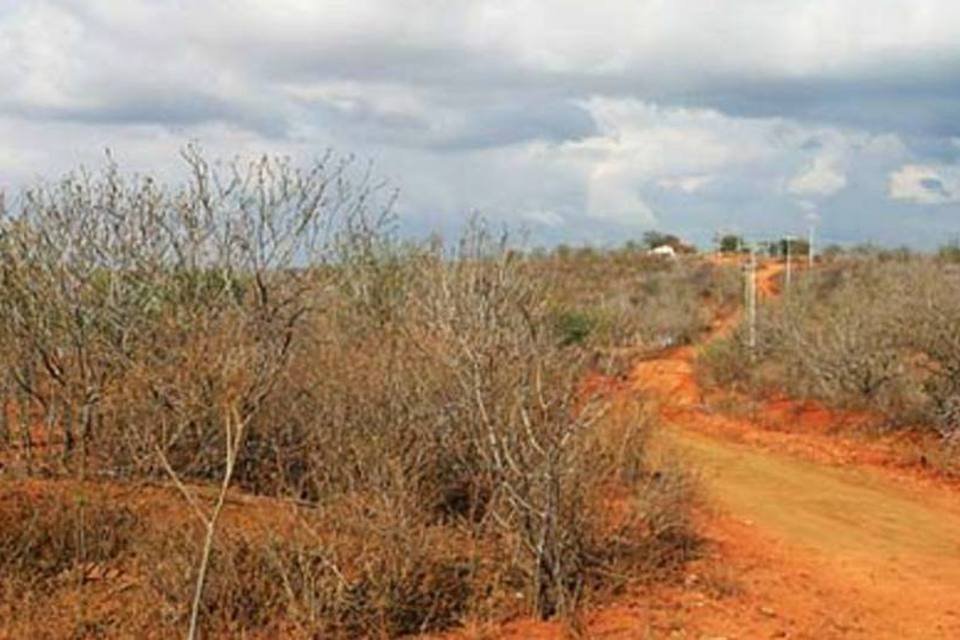 Com chuvas de fevereiro, seca é amenizada no Nordeste