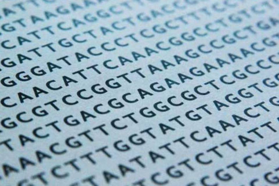 Alemanha aprova realização de testes genéticos em embriões